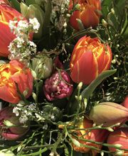 petite fleur gmbh Bild 11