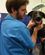 CLÍNICA VETERINÀRIA REUS imagen 3