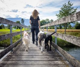 DOG PATROL GmbH Bild 6