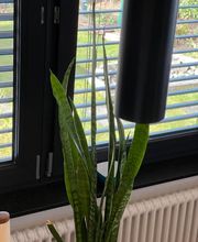 Schwendemann-Smarthome Bild 10