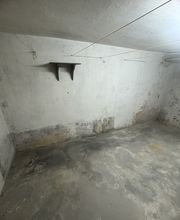 IMG_2667.jpeg