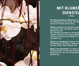 Grossenbacher Martin Blumen Bild 1