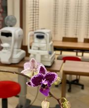 Rolli Optik AG Bild 13