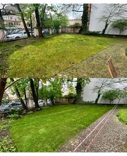 Gartenservice Mark Miess Bild 25