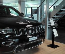 Bertoni Automobili SA Bild 5