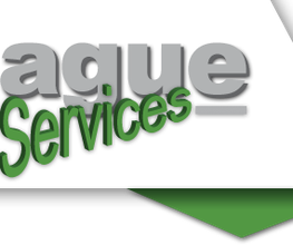 Hague Services image 1