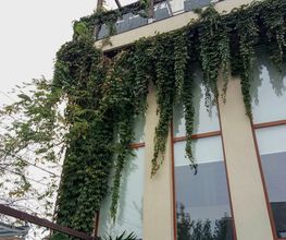 P71103-084125.jpg