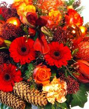 Blumengeschäft Efeulaube Bild 11