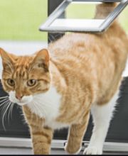 ISN NÜESCH -Insektenschutzgitter und Lichtschachtabdeckungen Bild 10