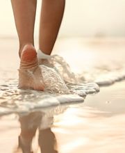 Finass Reisen AG Bild 8