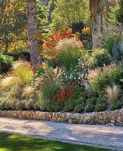 Cosme Cédric image 1