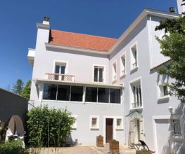 BCP Baumet Benjamin image 6