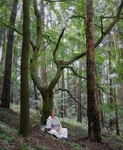 Taiji-Qigong mit Regine Bild 13