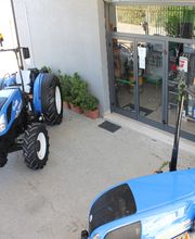 Gallery Cliente
