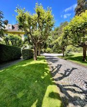 Green and Co Paysages Sàrl Bild 3