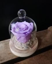 Aux Fleurs Et A Mesure image 8