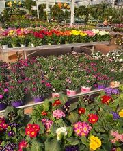 Villaverde Grimaud image 7