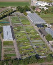 Staudengärtnerei Siegmar Poltermann