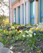 Käser Gartenbau AG Bild 6