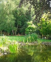 Werner Pöpping Gartengestaltung Bild 8