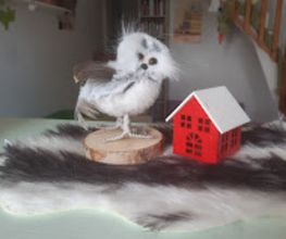 JARDIN DES MARMOTTES image 6