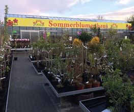 Blumenhaus Wosch Bild 1