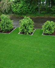 Colombo Gärten GmbH Bild 7