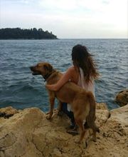 PAWtner Hundetraining Sabrina Rösch Bild 7