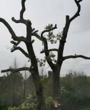 Sud Ouest Services image 1