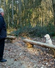 RolfsRudel Hundeschule / Rolf Matar Bild 19