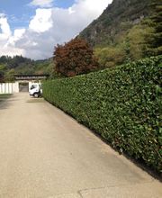 Biava Mattia - Giardiniere paesaggista Bild 14