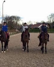 Les Ecuries Du Plessis Picard image 8