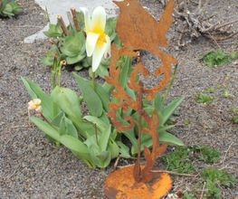 Gartendesign Oldach Bild 7