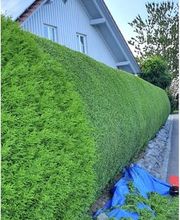 HashTEC Garten- u. Landschaftsbau Bild 11