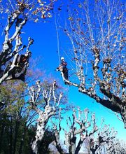 Accès Cimes image 3