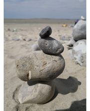 Bizeul Brigitte image 3