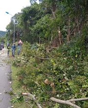 Services De Nettoyage image 3