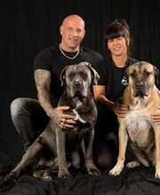 Tattoo Industry Bild 11