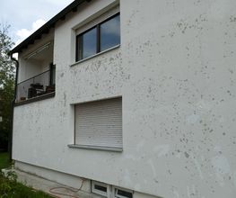 MJSV - die Bausachverständigen Bild 5