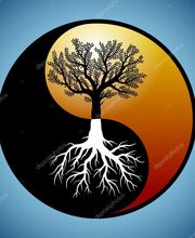 Hocquaux Cécile image 7