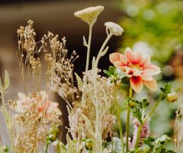 Blumen Schweizer Bild 10