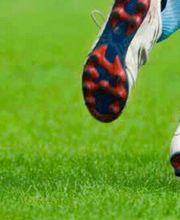 Die Wühlmäuse Frohs eK Bild 1