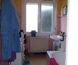 Bpec image 11