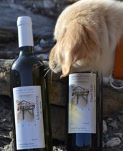 Domaine de l'Enfer, Roten Diego