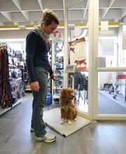 Lucky Pets GmbH Bild 4