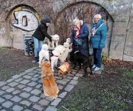 Hundesalon BerlinerSchnauze Bild 3