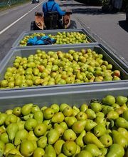 Duay Bernard Bild 14