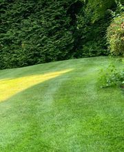 Brace Lawn Care image 2