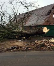 Erd Und Landschaftsbau Obermeier Bild 6
