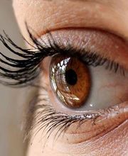 AUGENOPTIK KUHN AG Bild 14